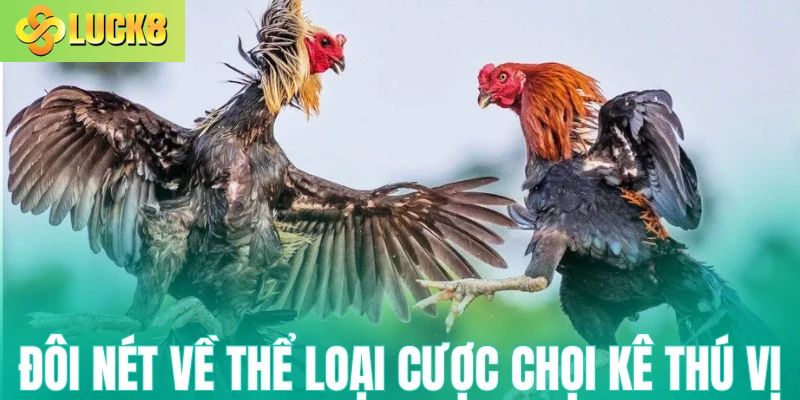 Đôi nét về thể loại đá gà Luck8 thú vị