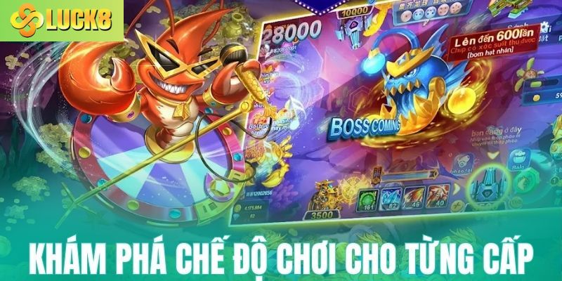 Khám phá chế độ chơi cho từng cấp