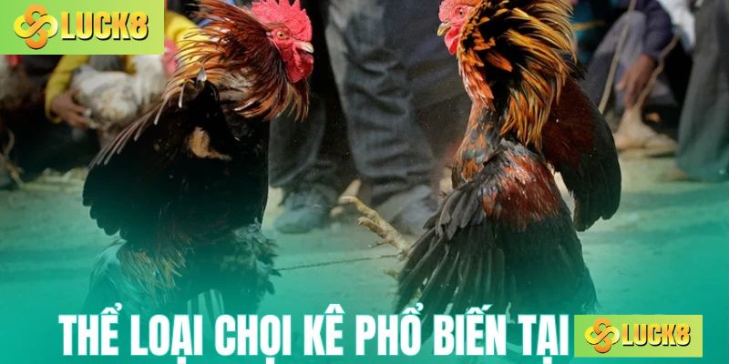 Thể loại chọi kê phổ biến tại Luck8